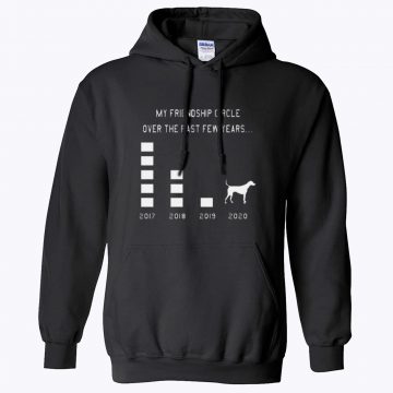 My Friendship Circle Over The Past Few Years Unisex Hoodie