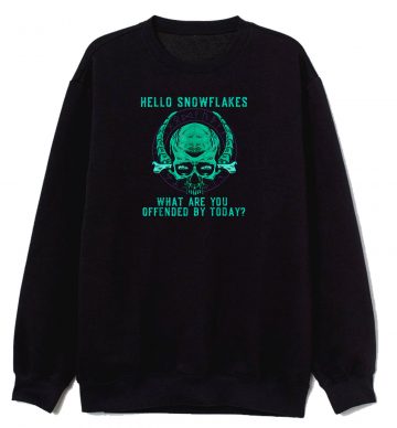 Anti Woke Politically Incorrect Sweatshirt